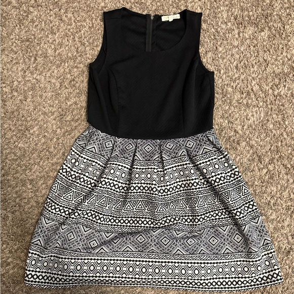 Rewind Black and White Pleated A-Line Dress - Picture 1 of 3